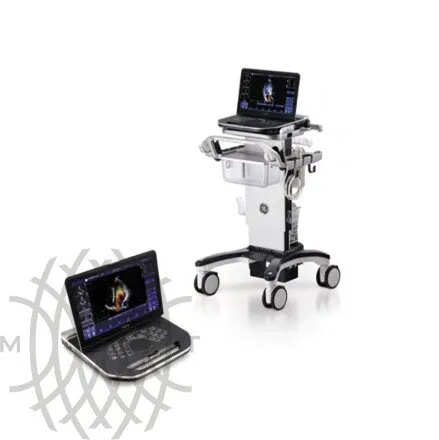 Ультразвуковая диагностическая система GE HealthCare Vivid iQ портативная