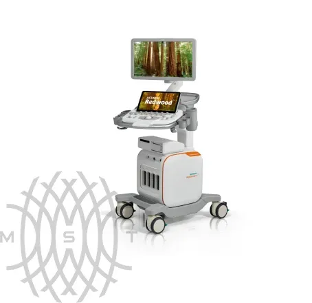 Siemens Redwood аппарат УЗИ