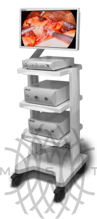 DS.Vision FHD 3in1 Видеокамера эндоскопическая с принадлежностями, вариант исполнения: F-368D  